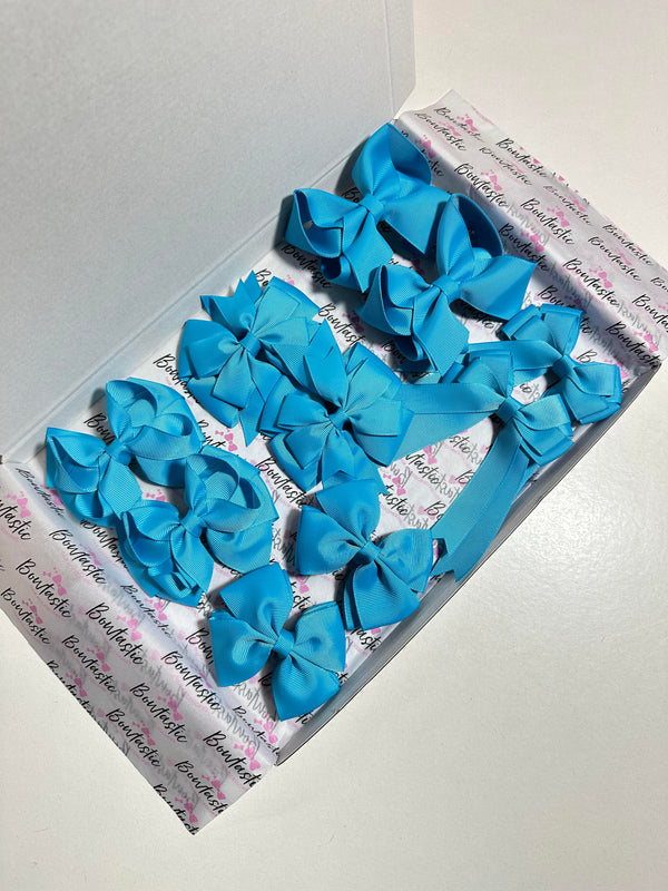 School Bundle - 5 Matching Pairs - Turquoise - Clips
