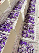 Surprise School Bundle - Purple Gingham - 5 Items