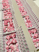 Surprise School Bundle - Pink Gingham - 5 Items