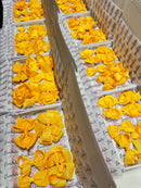 Surprise School Bundle - Yellow Gold - 5 Items