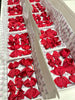 Surprise School Bundle - Scarlet Red - 5 Items
