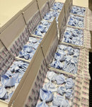 Surprise School Bundle - Bluebell - 5 Items