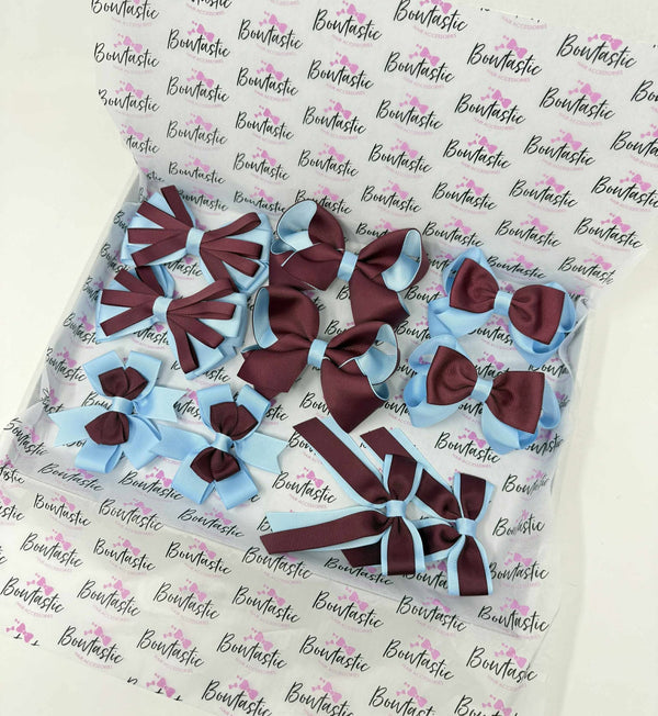 School Bundle - 10 Items - Matching Pairs - Burgundy & Blue Topaz - Clips