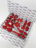 School Bundle - 10 Items - Matching Pairs - Red & Silver - Clips