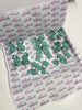 School Bundle - Matching Pairs - Clips - Green & White Gingham