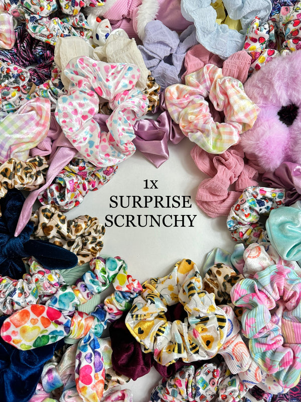 1 x Surprise Scrunchy