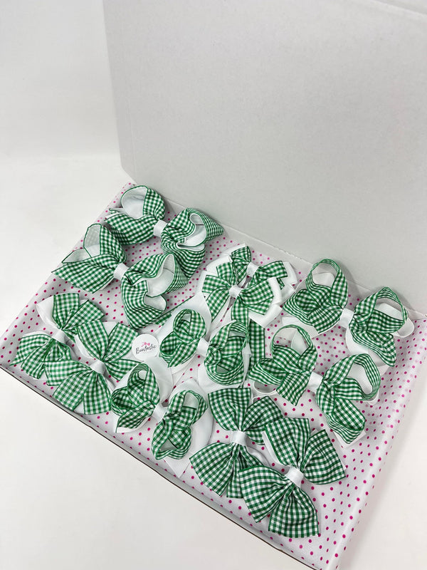 School Bundle - Green & White Gingham - 6 Matching Pairs - Clips